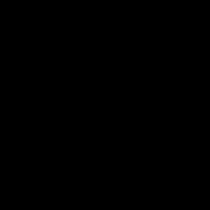 Meet your Posher, Gloria